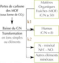 Matieres-organiques-processus.png